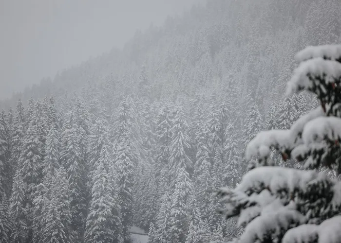 Hotel Aurora Lech am Arlberg